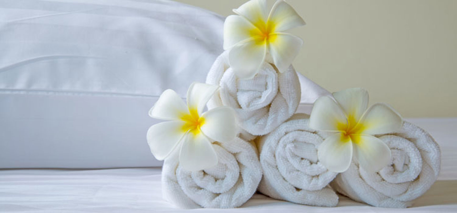 Commercial Laundry Banner